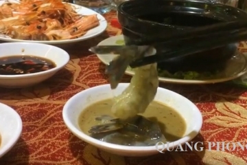 Ăn tôm sống được không? Gợi ý 3 món ăn cực hấp dẫn