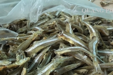 Cá cơm khô có tốt không? Món ăn từ cá cơm