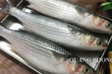 Cá Đối: Loài cá dễ ăn, ngon bổ không phải ai cũng biết