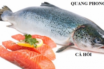 Dinh dưỡng của Cá Hồi và Top 15 cách chế biến biến