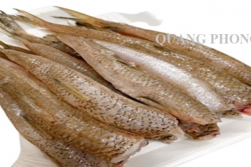 Cá Mối, món ăn ngon nhiều chất dinh dưỡng cho gia đình