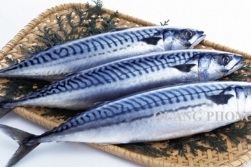 Cá nục là gì? Top các món ăn chế biến từ cá nục