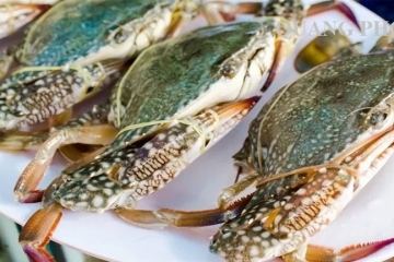 Con ghẹ: một số lợi ích và cách chế biến