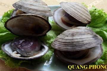 Con ngán là gì? Những món ăn ngon được chế biến từ con ngán