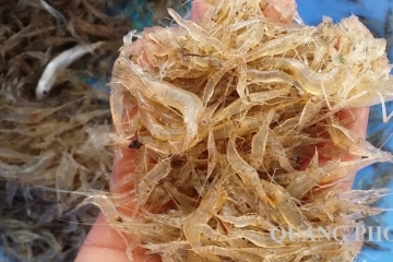 Con tép là gì? Giá trị dinh dưỡng con tép