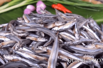 Đặc điểm cá Cơm và cách chế biến món ăn ngon