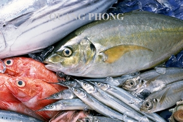 Top 12 đặc sản Cô Tô thơm ngon không thể bỏ qua