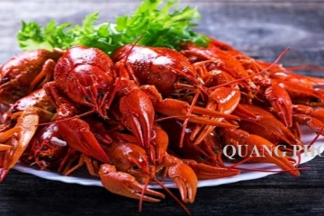 Giá trị dinh dưỡng của tôm hùm đất và cách ăn