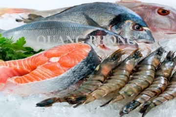 Hải sản Hạ Long, tinh túy hương vị biển Việt Nam