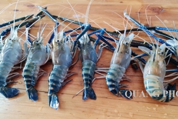 Tôm càng xanh làm món gì ngon? Top 4 món ăn hấp dẫn