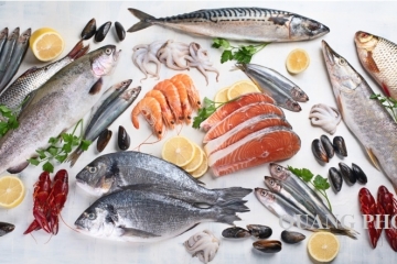 Top 20 loại cá biển thông dụng và giàu dinh dưỡng