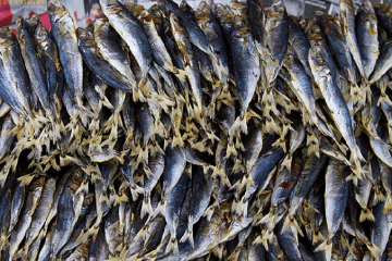 Top 3 loại cá khô ngon nhất Việt Nam hiện nay bạn nên thử
