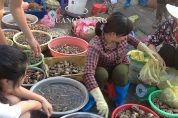 Top 7 loại hải sản Cô Tô nhất định phải thử một lần